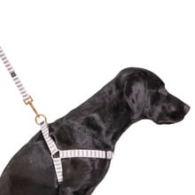Mosaic Hemp Dog Harness